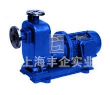 ZCQ型自吸式磁力驅(qū)動泵