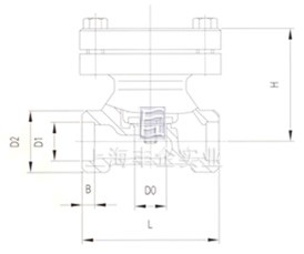 DH61F低溫止回閥 結(jié)構(gòu)圖