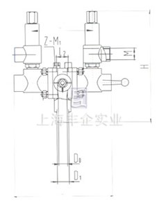 組合安全系統(tǒng)閥