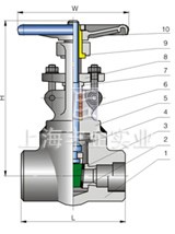 壓力自緊閥蓋鍛鋼閘閥 結(jié)構(gòu)圖
