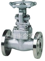 法蘭螺栓閥蓋鍛鋼閘閥