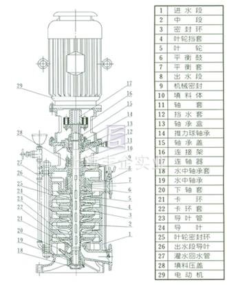 DL、DLR多級(jí)泵 結(jié)構(gòu)圖片