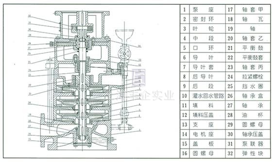 LG多級泵 結構圖1