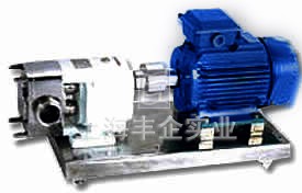 LB不銹鋼轉(zhuǎn)子泵產(chǎn)品圖