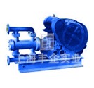 WBR型電動高溫往復(fù)泵