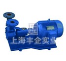 W、1W、BD型漩渦泵