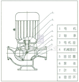 GW型管道式無堵塞排污泵 結(jié)構(gòu)圖