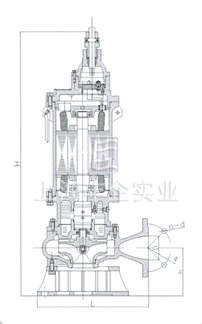 BQW20—40—7.5礦用型隔爆排污排沙潛水電泵 外形尺寸圖