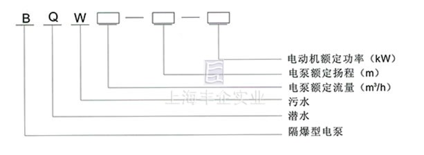 BQW防爆潛水泵 型號說明
