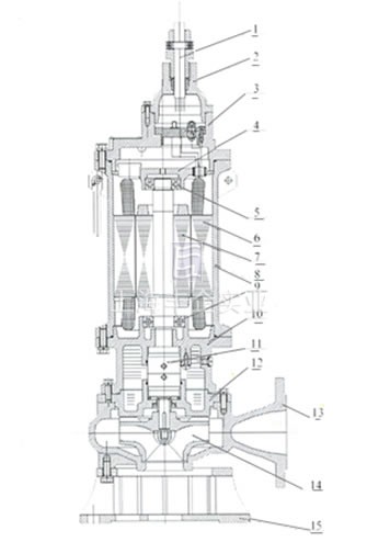 BQW防爆潛水泵 結(jié)構(gòu)簡圖