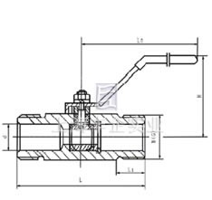 Q2/61F外螺紋球閥&middot;對焊球閥結(jié)構(gòu)圖