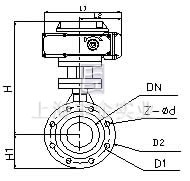 電動(dòng)襯氟調(diào)節(jié)蝶閥 結(jié)構(gòu)2