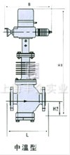 電動(dòng)直通單、雙座調(diào)節(jié)閥 結(jié)構(gòu)圖