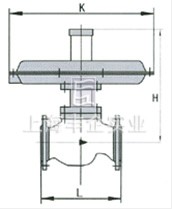 自力式差壓調(diào)節(jié)閥 結(jié)構(gòu)圖1