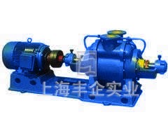 SZ-3水環(huán)式真空泵