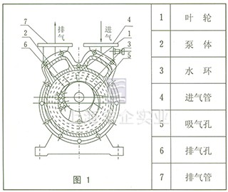SZ系列水環(huán)式真空泵 結(jié)構(gòu)圖1