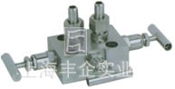EN5-10 SF-2B型一體化三閥組