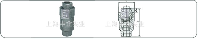 H12H-40 H12H-160 內(nèi)螺紋立式止回閥、承插焊立式止回閥外形尺寸圖